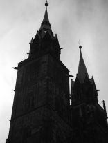 I take so many photos sometimes I forget to log them. So, I believe these are steeples from a church in Dresden, Germany.